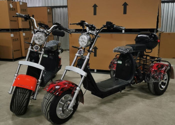 3000 Watts Citycoco electric scooter