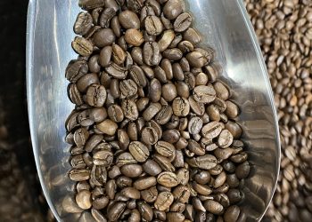 Ugandan Green Coffee Beans from Africa for sale | Uganda Coffee Fresh Roasted Top Grade Arabica Coffee Beans +27631501216