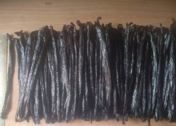 Vanilla Exporter in Africa | Top Vanilla Export Company in Europe +27631501216 | CONGLOMERATE Exports of vanilla beans to South Africa, New Zealand, Japan, Israel, Mauritius, UAE, Italy, Denmark Ugandan Vanilla Beans