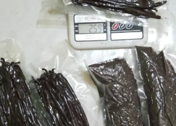 African Vanilla Exporters and Importers Near Me – Vanilla Beans Sellers Near Me South Korea, Mexico, Spain, Indonesia, Saudi Arabia, Netherlands, Turkey, Switzerland, Qatar, Oman +27631501216