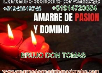 La Felicidad a tu Alcance