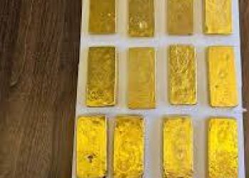 GOLD NUGGET AND GOLD BARS+ 256776717197 GOLD AND GOLD NUGGETES TRADERS IN UGANDA AND EAST AFRICA. Raw Gold Bars & Gold Nuggets – Raw Gold Nuggets For Sale + 256776717197 Buy Pure Gold Bars – Gold Nuggets For Sale + 256776717197 gold bars,gold dust, nuggets for sale in dubai,saudi arabia Order gold nuggets and gold bars+ 256776717197 LONDON gold nuggets,gold bars for sale in AfricaGold bars,gold nuggets,gold dust,gold scrap. Alluvial Gold NUGGET. PURITY: 97