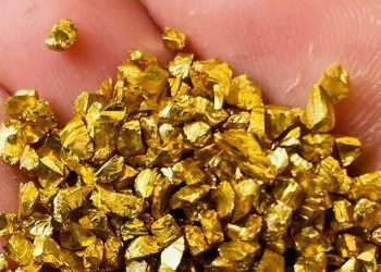 GOLD NUGGET AND GOLD BARS+ 256776717197 GOLD AND GOLD NUGGETES TRADERS IN UGANDA AND EAST AFRICA. Raw Gold Bars & Gold Nuggets – Raw Gold Nuggets For Sale + 256776717197 Buy Pure Gold Bars – Gold Nuggets For Sale + 256776717197 gold bars,gold dust, nuggets for sale in dubai,saudi arabia Order gold nuggets and gold bars+ 256776717197 LONDON gold nuggets,gold bars for sale in AfricaGold bars,gold nuggets,gold dust,gold scrap. Alluvial Gold NUGGET. PURITY: 97