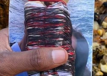 African Spiritual Healer | Love spells and occult works ,+27735584255 SOUTH AFRICA , NAMIBIA .