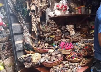 i want to join occult for money ritual in abuja call +2349122288780