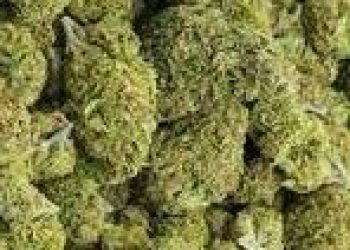 WhatsApp ‪+14353285212‬ Buy weed in Doha,Al Rayyan,Al SHamal,Mesaieed,Al Daayen,Farwaniya