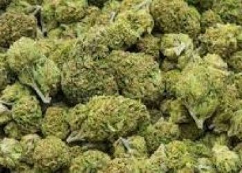 WhatsApp ‪+14353285212‬ Buy weed in Columbia,Columbus, Canada United Kingdom Australia Spain Italy France Germany